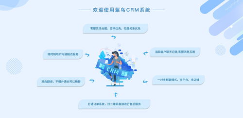 電商行業(yè)CRM云客服管理系統(tǒng)選哪家？紫鳥云客服——互聯(lián)網(wǎng)信息技術(shù)服務(wù)的卓越選擇